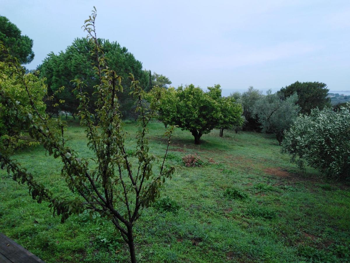 Villa Aliki Petrochori  Exteriér fotografie