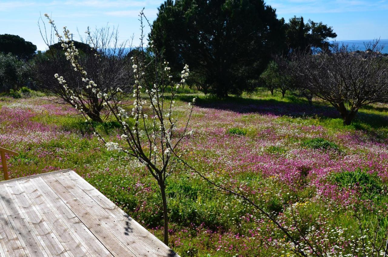 Villa Aliki Petrochori  Exteriér fotografie