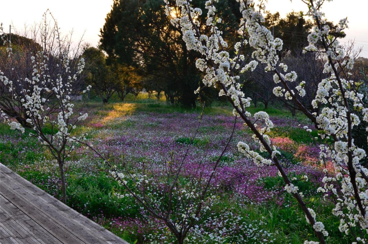 Villa Aliki Petrochori  Exteriér fotografie